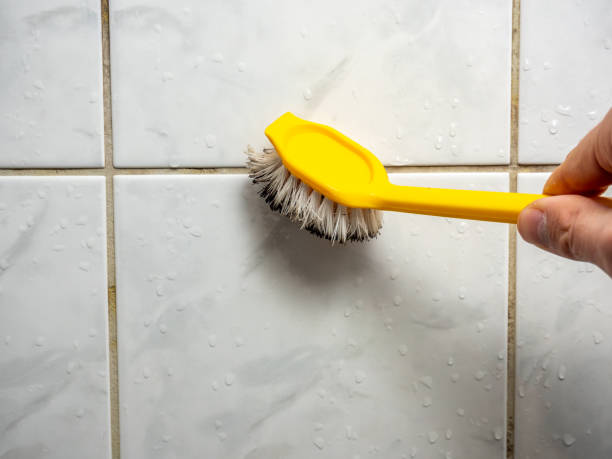 Best Office Mold Removal Services  in Yeadon, PA