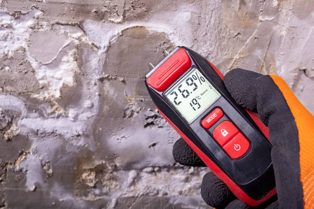Office Mold Removal Services in Yeadon, PA